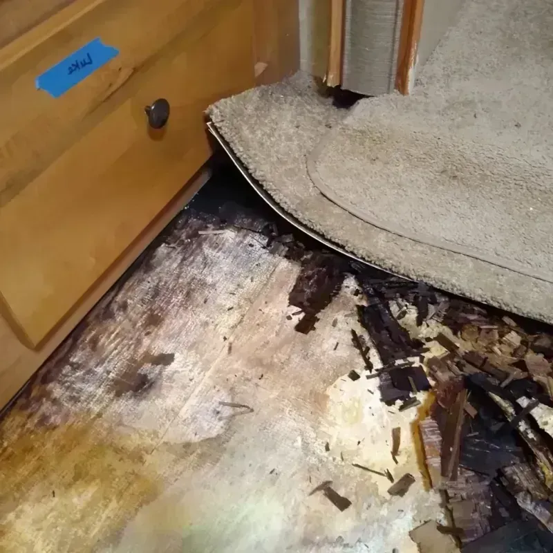 Wood Floor Water Damage in Belleville, WI